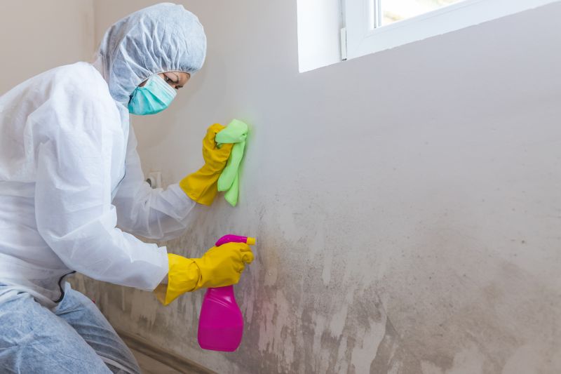 Air Duct Mold Removal in Jupiter, FL