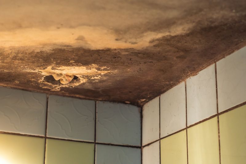 Ceiling Mold Removal in Jupiter, FL