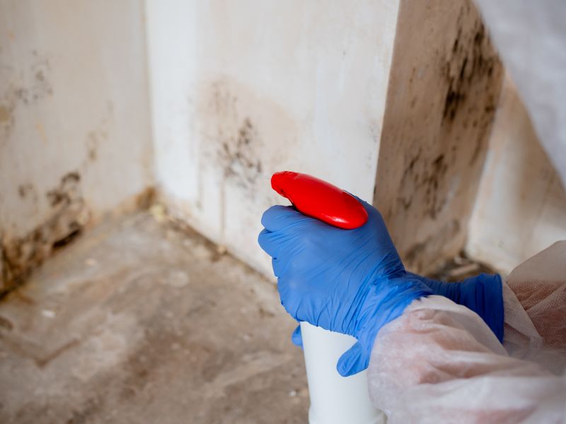 Garage Mold Remediation in Frisco, TX