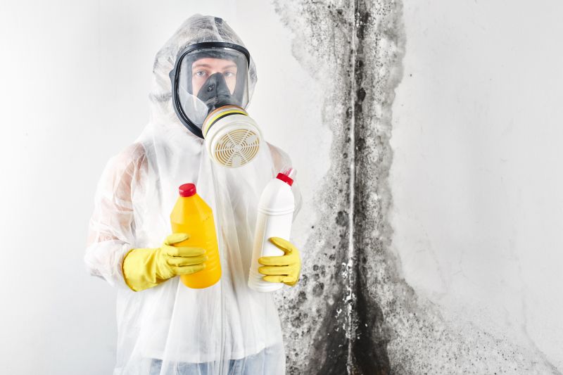 Mold Cleanup Service in Boca Raton, FL