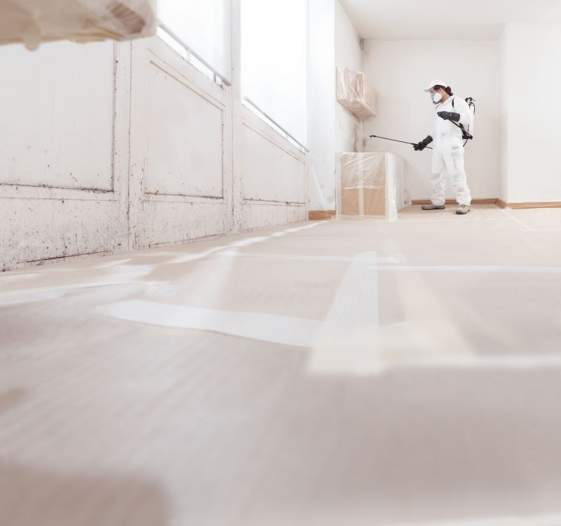 Mold Mitigation Service in Dallas, TX