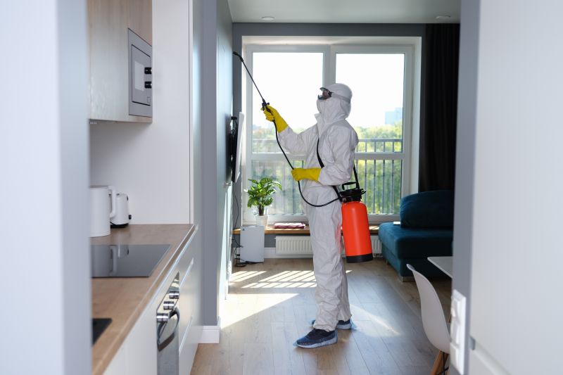 Mold Mitigation Service in Jupiter, FL