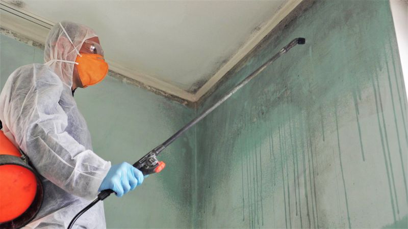 Mold Removal in Frisco, TX
