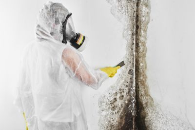 Mold Removal in Jupiter, FL