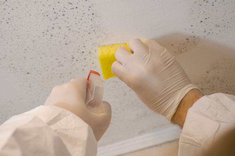 Mold Restoration in Broward County, FL
