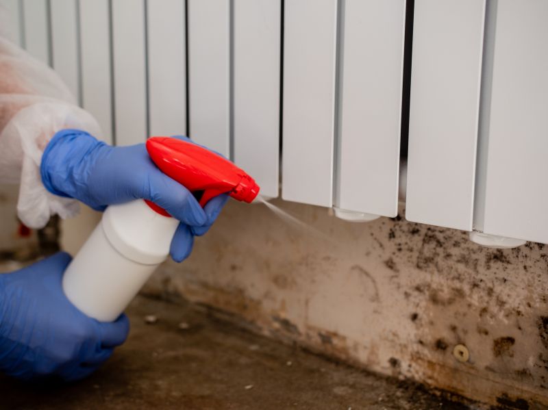 White Mold Mitigation in Dallas, TX