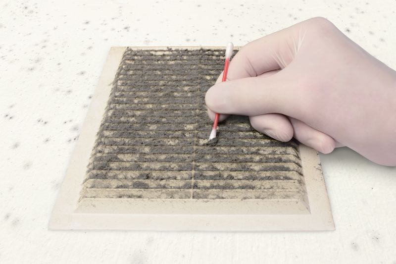 Air Duct Mold Removal in Jupiter, FL