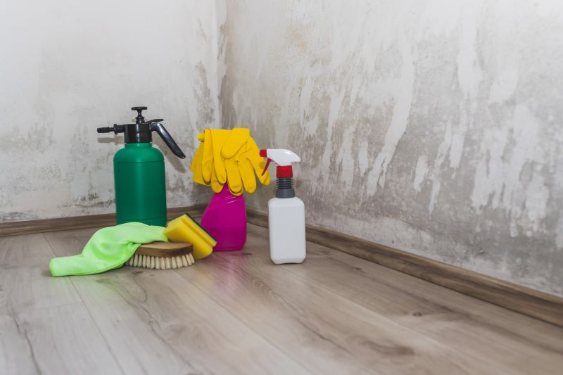 Attic Mold Removal in Frisco, TX