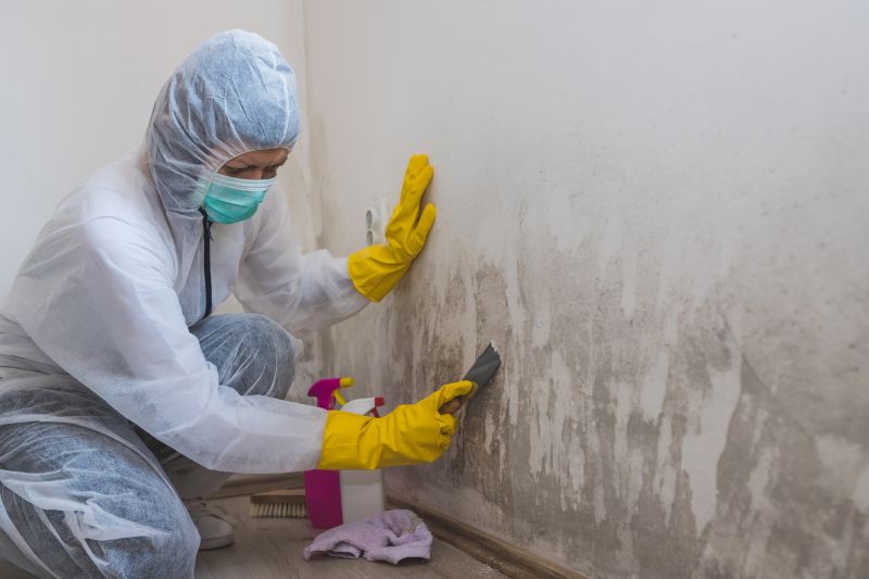 Attic Mold Removal in Jupiter, FL