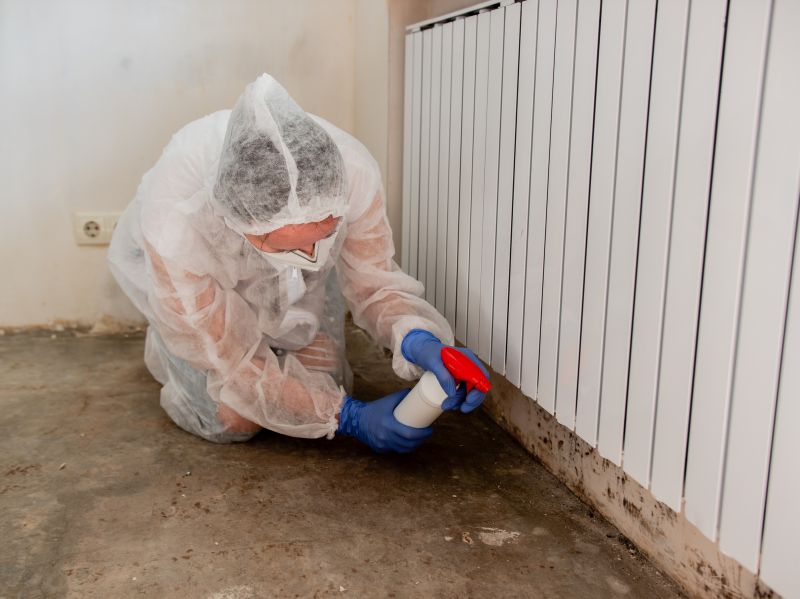Attic Mold Removal in Jupiter, FL
