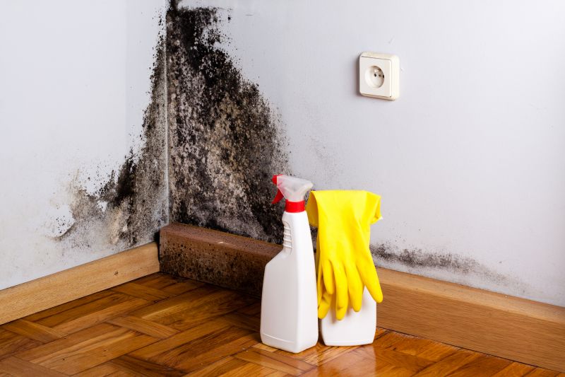 Basement Mold Remediation in Fort Lauderdale, FL