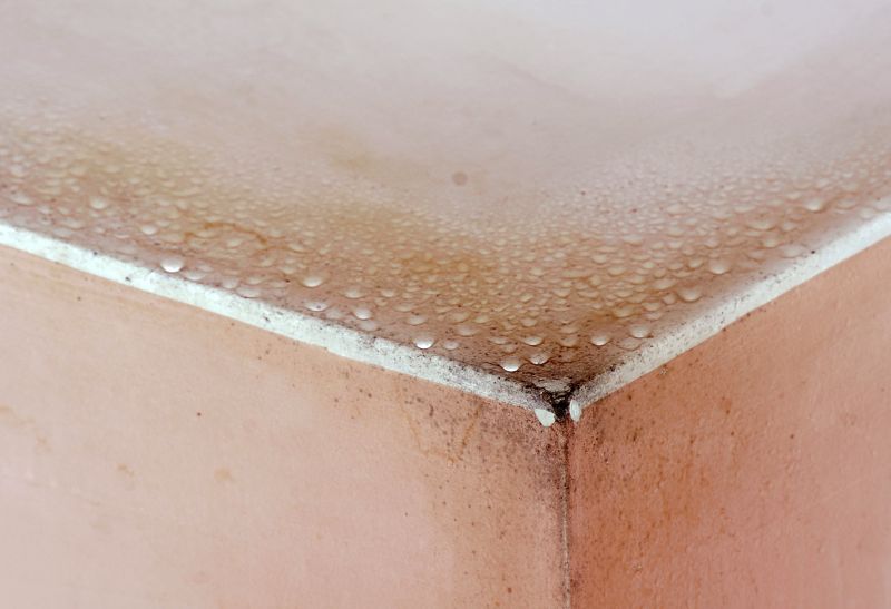 Basement Mold Removal in Bergen County, NJ