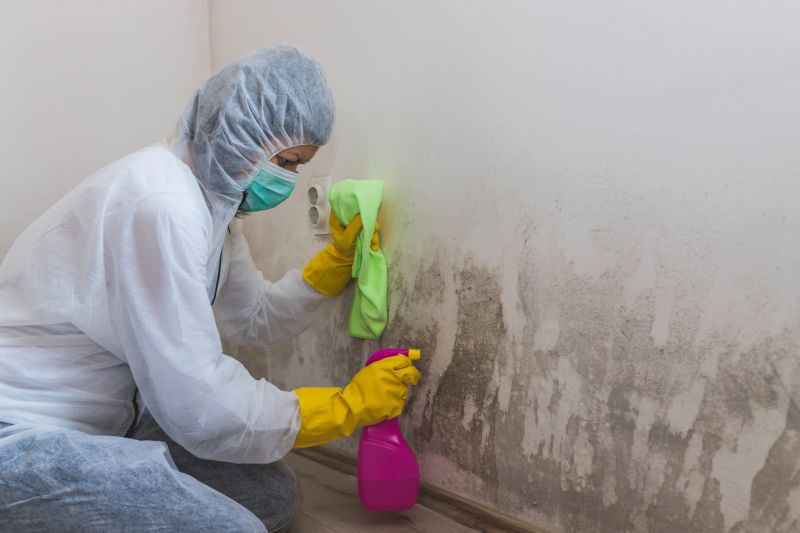 Black Mold Remediation in Boca Raton, FL