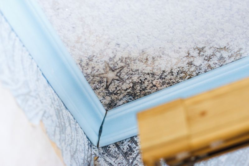 Black Mold Remediation in Dallas, TX
