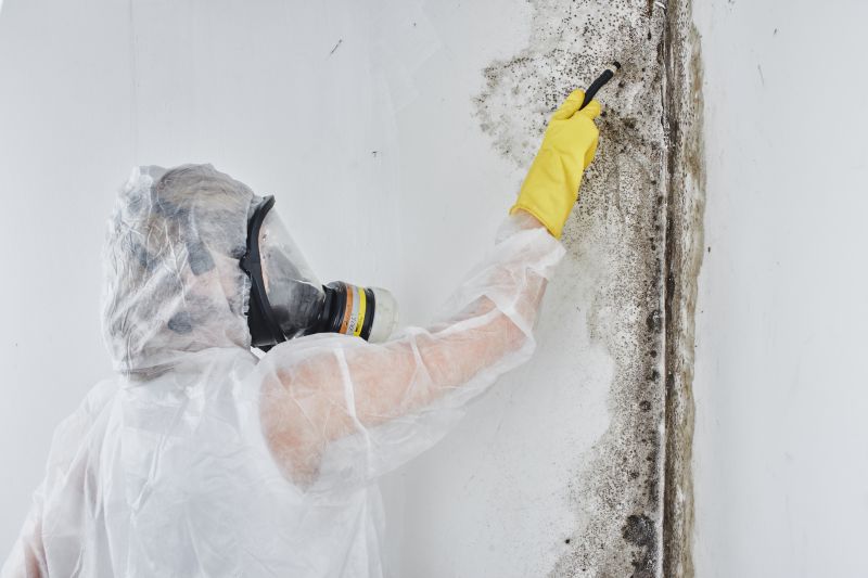 Black Mold Removal in Arlington, TX