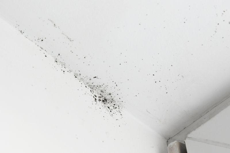 Ceiling Mold Removal in West Palm Beach, FL