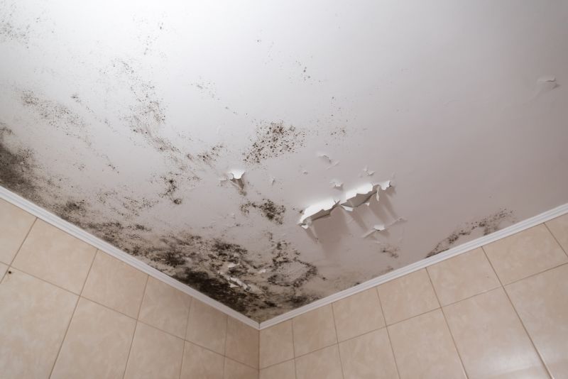 Ceiling Mold Removal in Frisco, TX