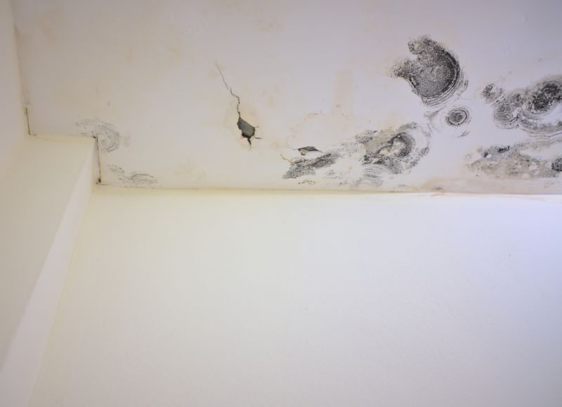 Ceiling Mold Removal in Frisco, TX