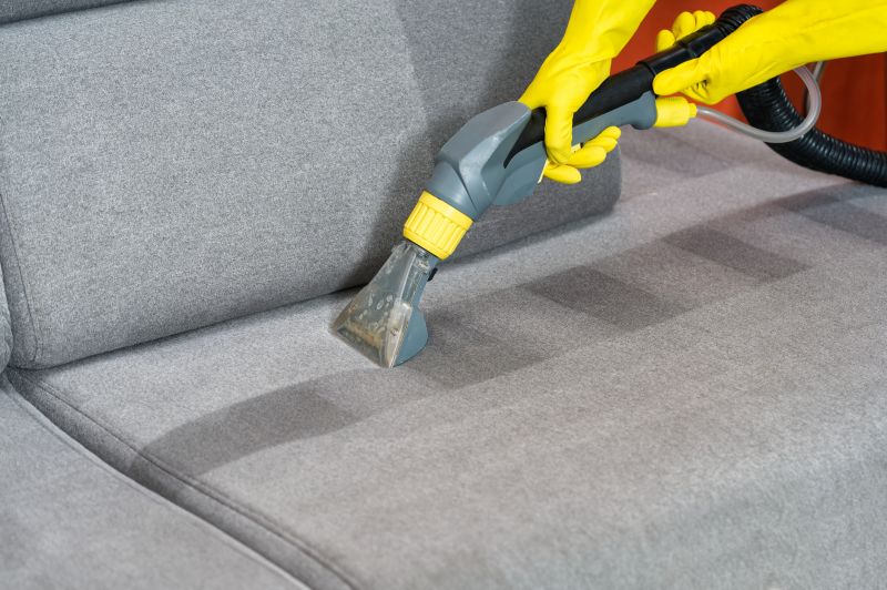 Couch Cleaning Service in Sanford, FL