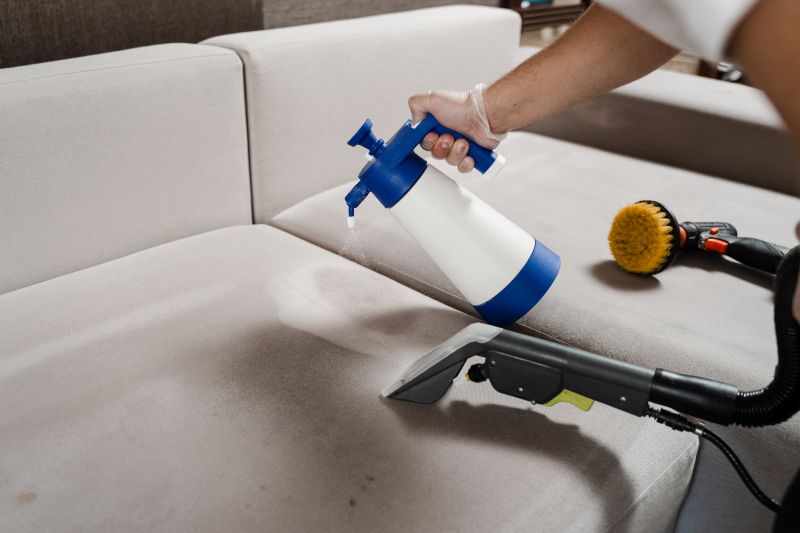 Couch Cleaning Service in Sanford, FL