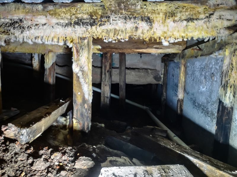 Crawl Space Mold Removal in Frisco, TX