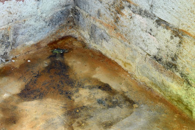 Crawlspace Mold Remediation in Jupiter, FL