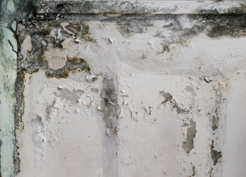 Garage Mold Remediation in Jupiter, FL