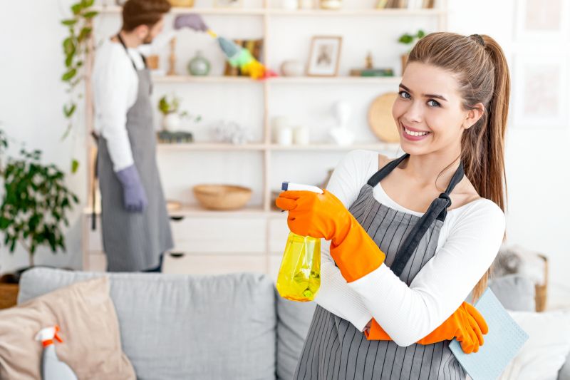 Kitchen Cleaning in Renton, WA