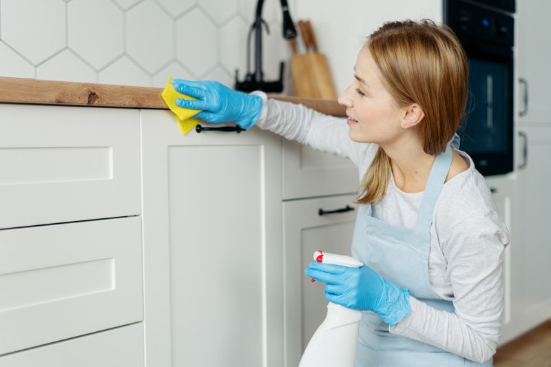 Kitchen Cleaning in Kent, WA
