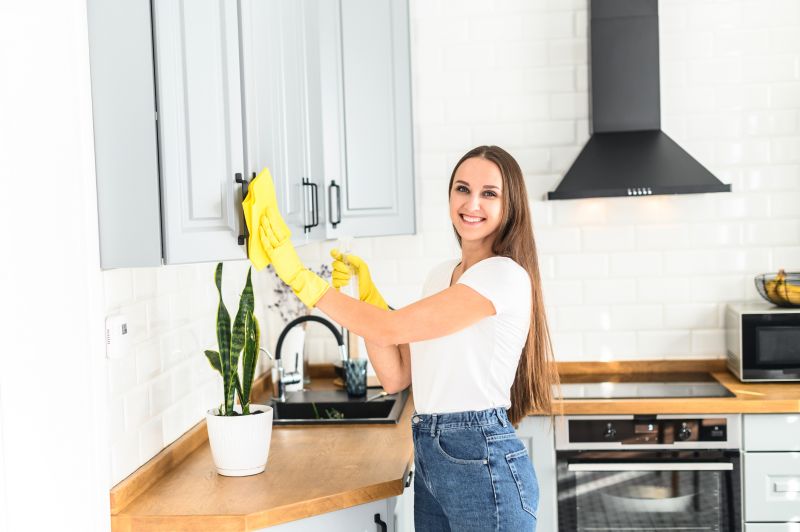 Kitchen Cleaning in Bellevue, WA