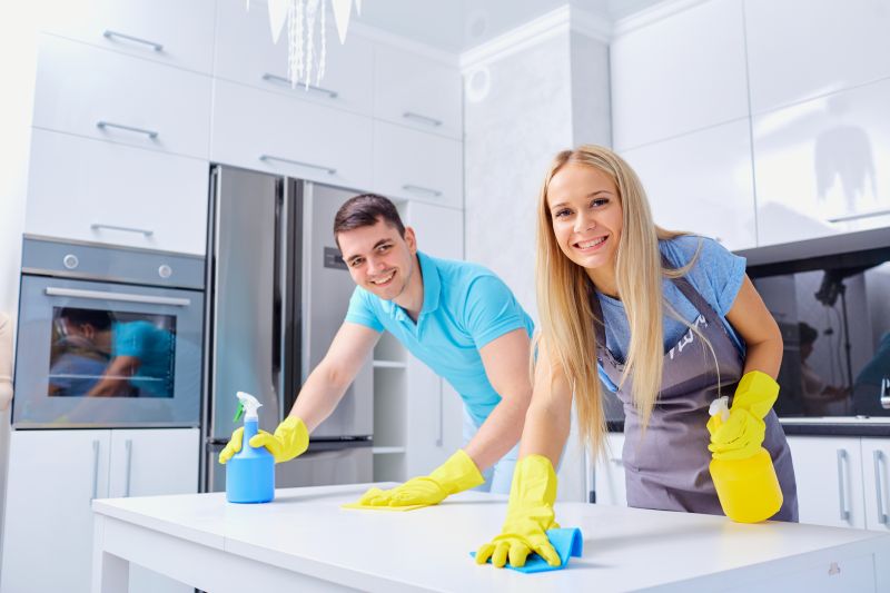 Kitchen Cleaning in Bellevue, WA