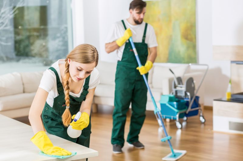 Kitchen Cleaning in Frisco, TX
