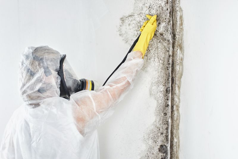 Mold Abatement in Plano, TX