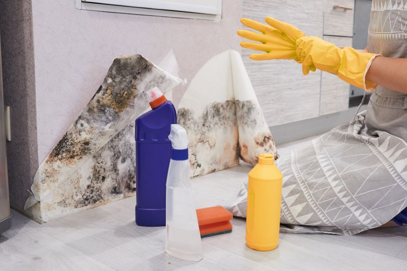 Mold Abatement Service in Bergen County, NJ
