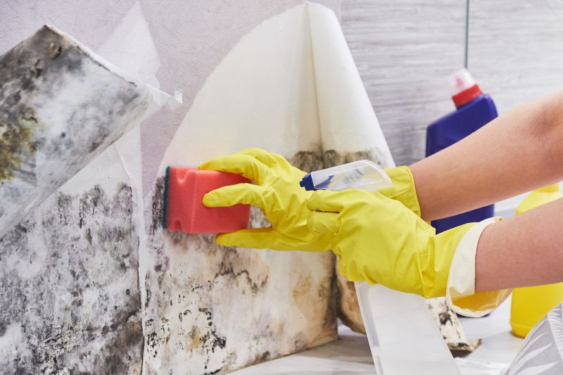 Mold Cleanup Service in Frisco, TX