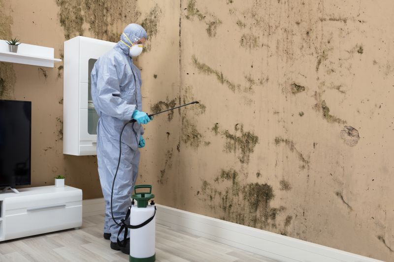 Mold Control in Delray Beach, FL