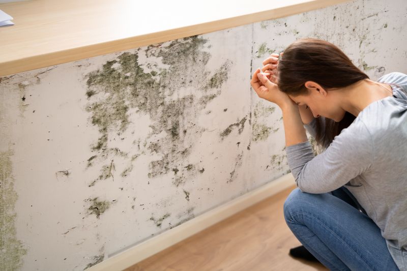 Mold Control in Broward County, FL