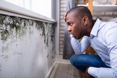 Mold Detection in Dallas, TX