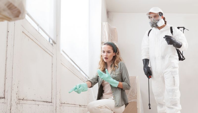 Mold Mitigation Service in Frisco, TX