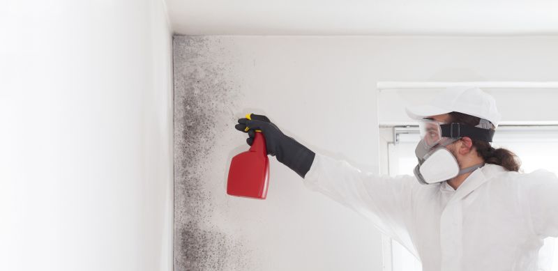 Mold Mitigation Service in Fort Worth, TX
