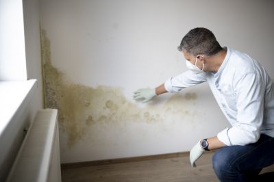 Mold Remediation Service in Fort Worth, TX