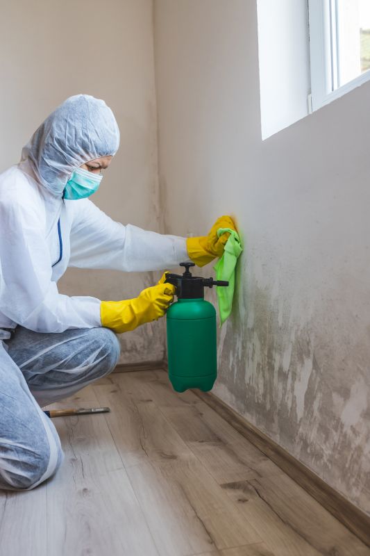 Mold Removal in Jupiter, FL