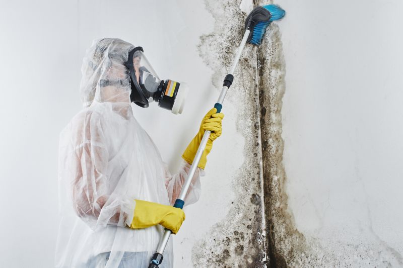Mold Removal in Jupiter, FL