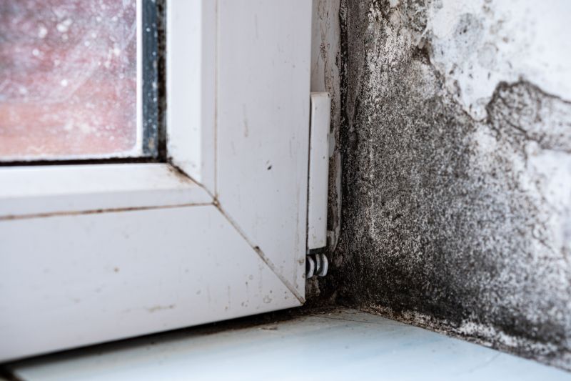 Mold Restoration in Jupiter, FL