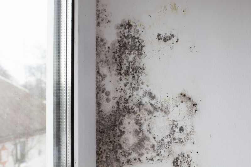 White Mold Mitigation in Fort Worth, TX