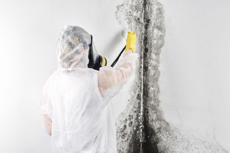 White Mold Mitigation in Frisco, TX